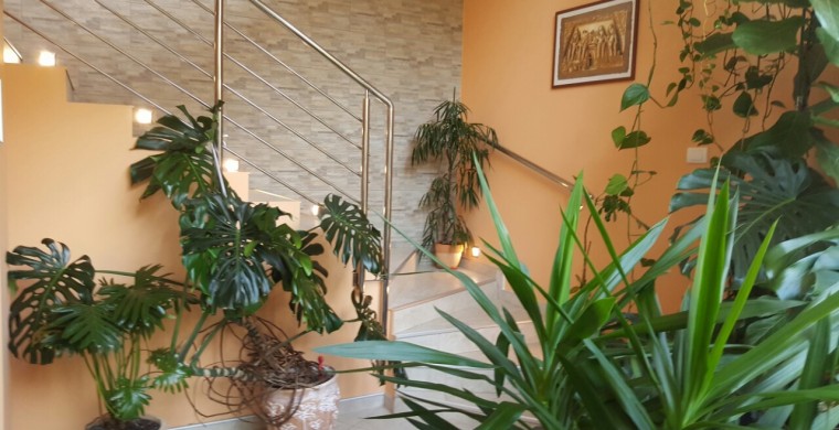 Venus Salon